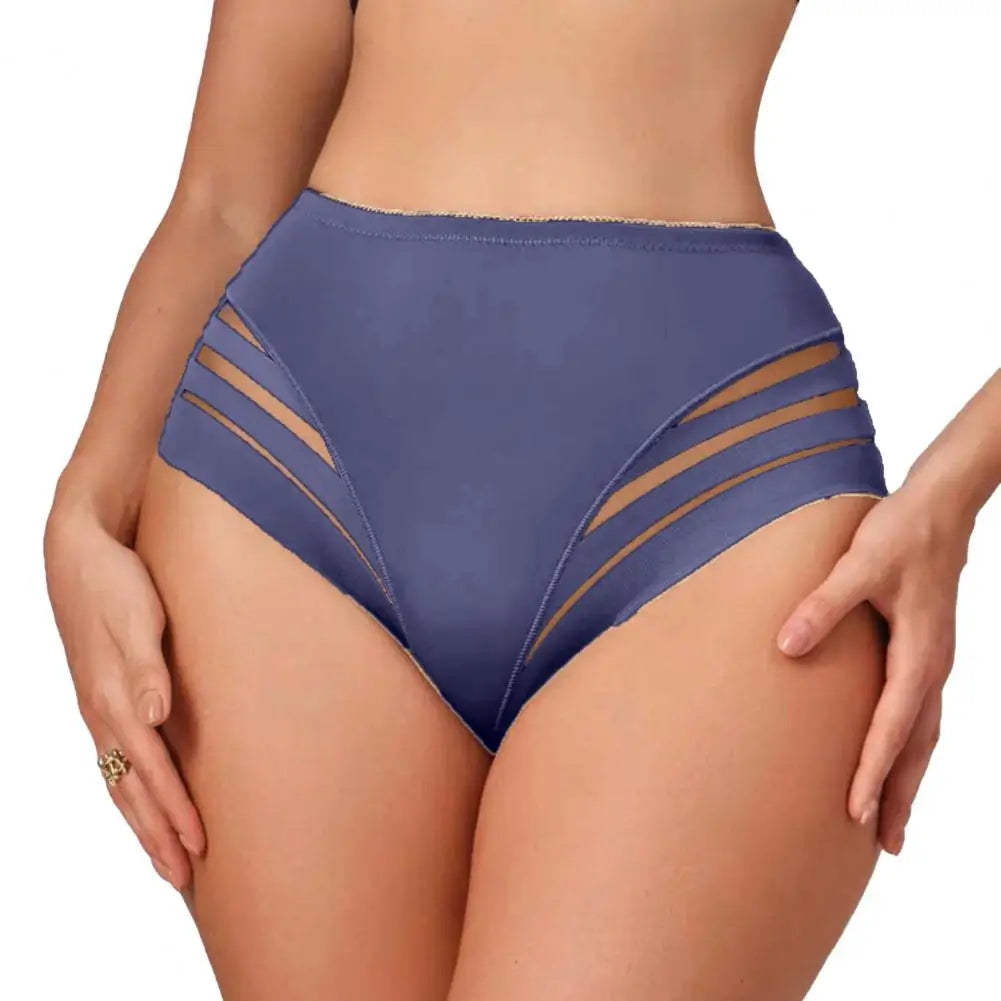 Mid-Rise Breathable Sheer Panties for Women by MALEY LifeStyle