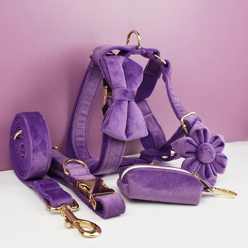 Luxury Velvet Pet Collar and Leash Set with Custom Engraving