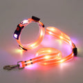 LED Glowing Dog Leash for Enhanced Night Safety