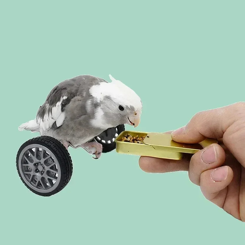 Interactive Bird Training Toy for Small and Medium Birds