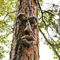 Rustic Resin Tree Face Ornaments for Creative Garden Decor