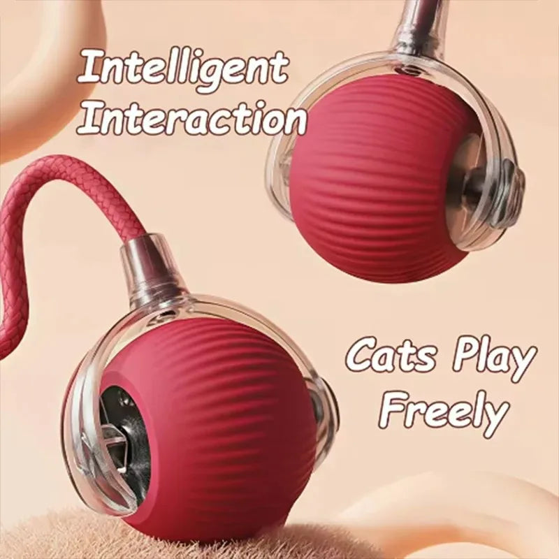 Durable Rubber Teaser Ball for Dogs and Cats Self-Entertainment