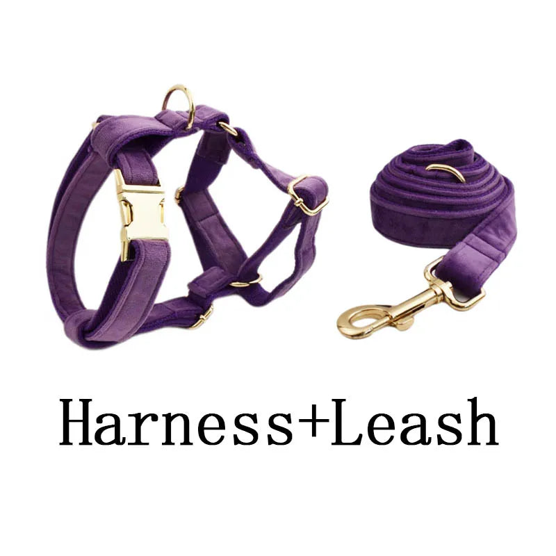 Luxury Velvet Pet Collar and Leash Set with Custom Engraving