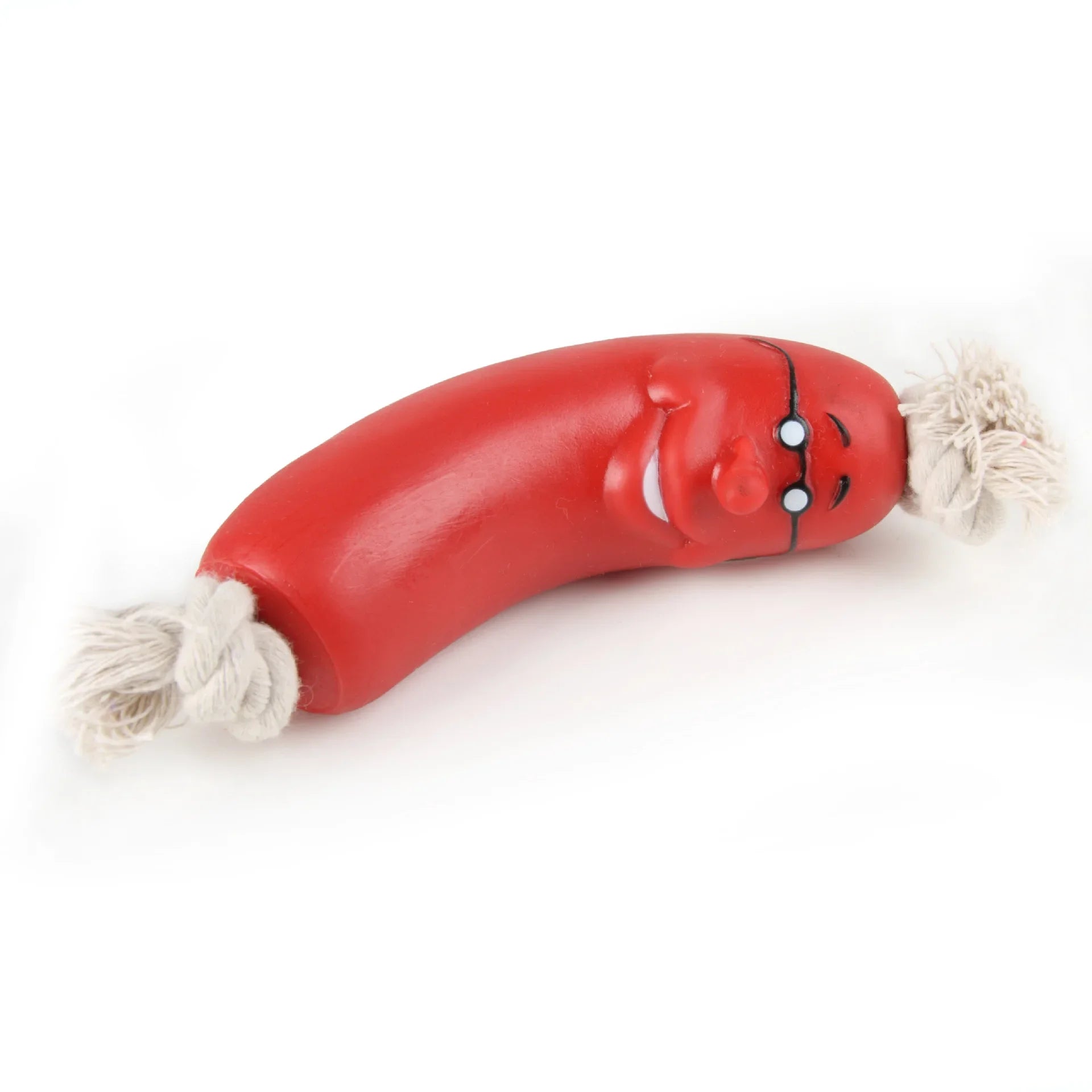 Durable Eco-Friendly Squeaky Chew Dog Toys for Active Play
