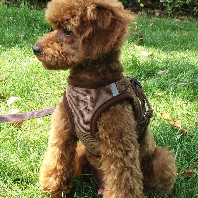 Personalized Vest Harness for Dogs and Puppies