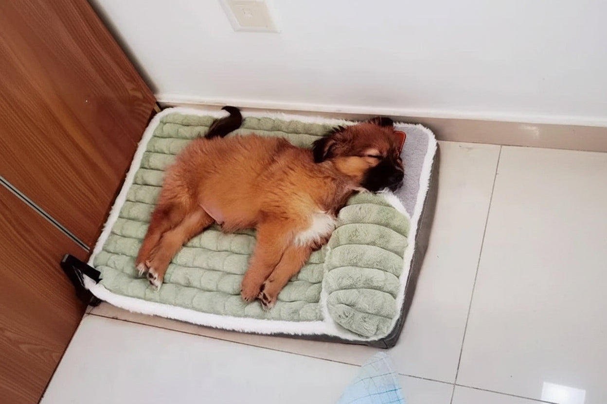 Modern Simplicity Pet Sleeping Pad in Plaid Corduroy