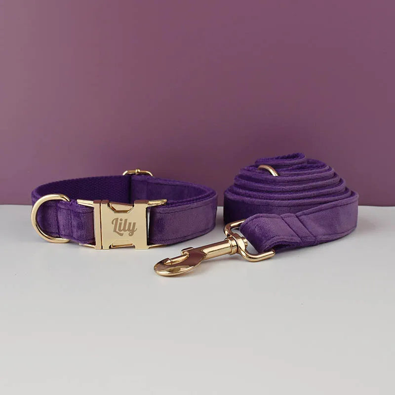 Luxury Velvet Pet Collar and Leash Set with Custom Engraving