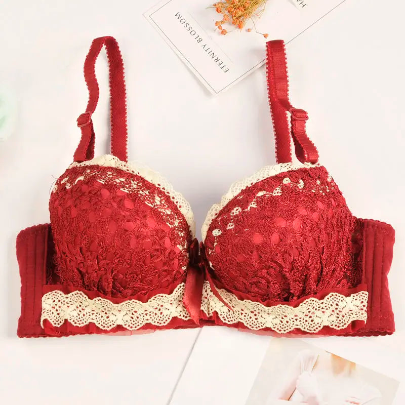Push Up Lace Bra for Women with Back Closure and Underwire