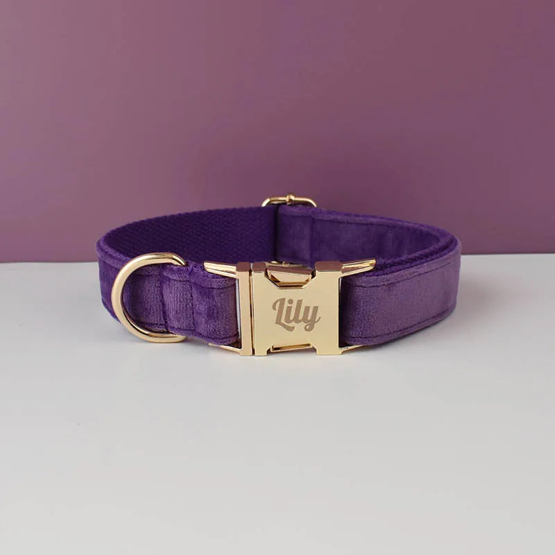 Luxury Velvet Pet Collar and Leash Set with Custom Engraving