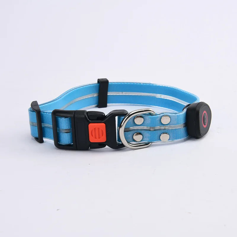 LED Glowing Dog Leash for Enhanced Night Safety