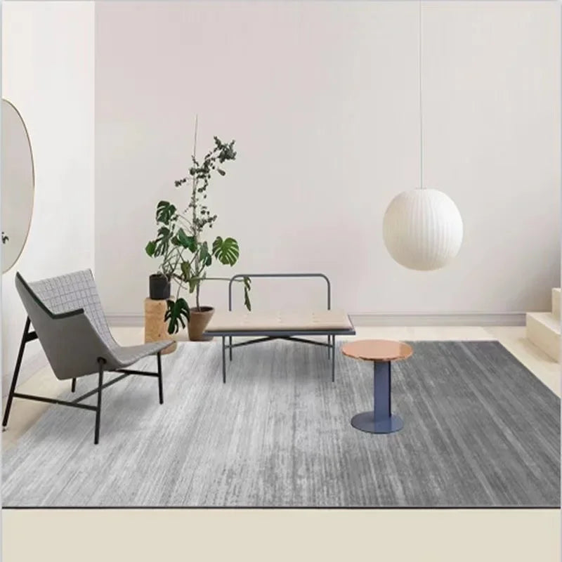 Large Gray Soft Lounge Rug for Modern Living Room and Bedroom
