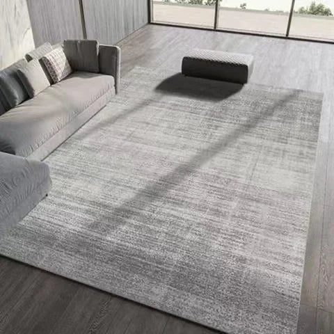 Large Gray Soft Lounge Rug for Modern Living Room and Bedroom