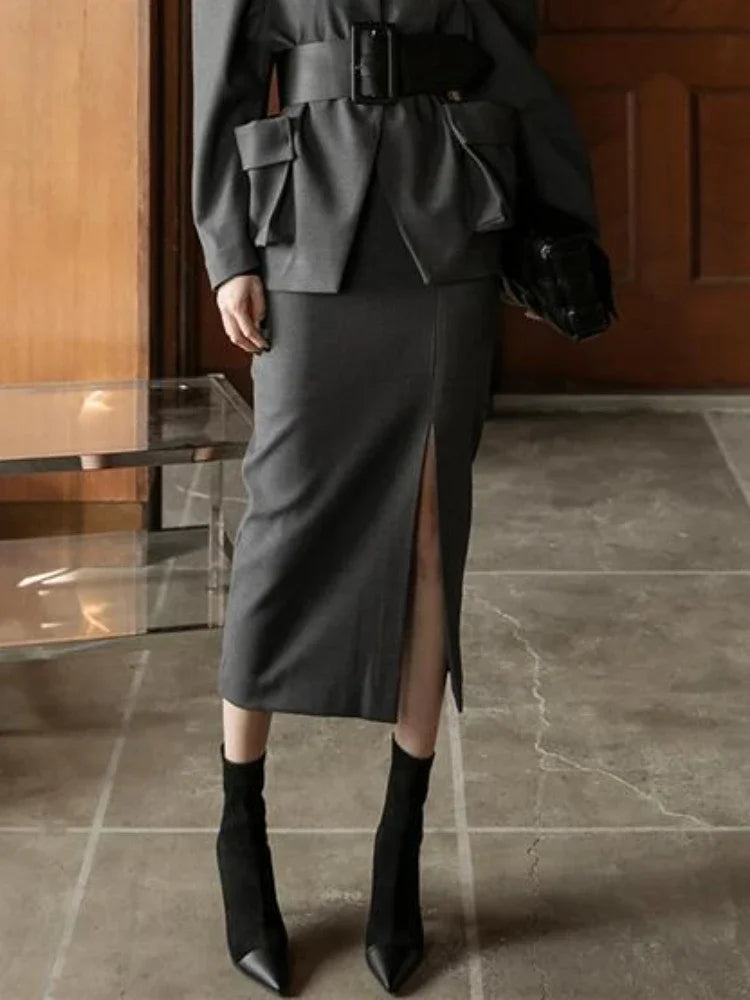 A-Line Slim Gray Skirt for Women by Sothoryos