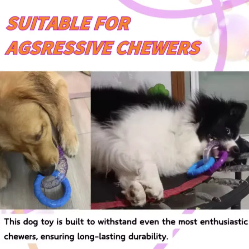 Durable TPR Dog Chew Toy for Interactive Play and Teeth Cleaning