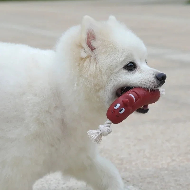 Durable Eco-Friendly Squeaky Chew Dog Toys for Active Play