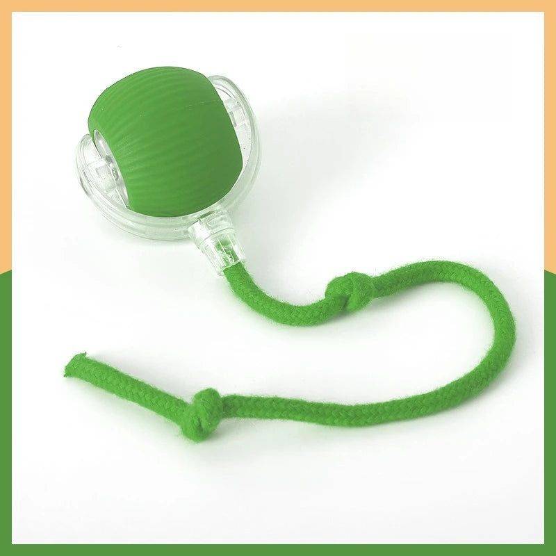 Durable Rubber Teaser Ball for Dogs and Cats Self-Entertainment