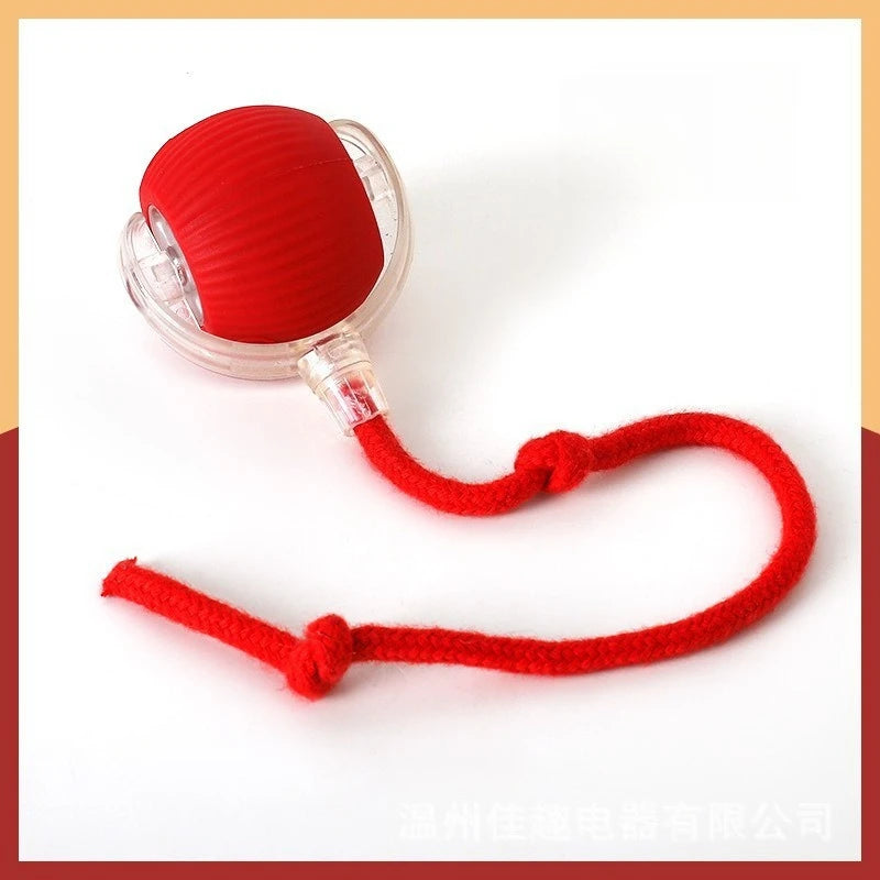 Durable Rubber Teaser Ball for Dogs and Cats Self-Entertainment