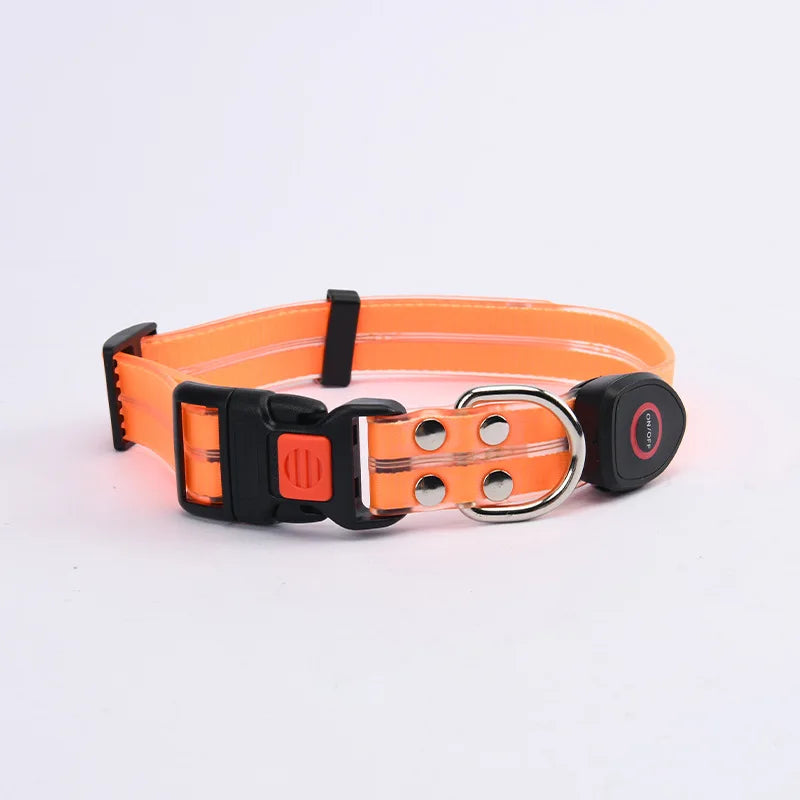 LED Glowing Dog Leash for Enhanced Night Safety