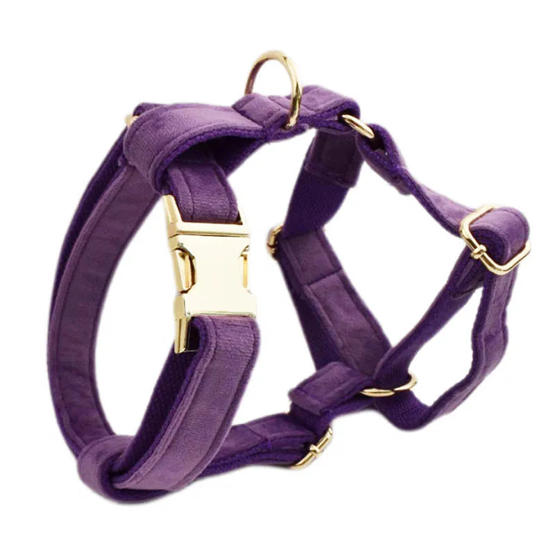 Luxury Velvet Pet Collar and Leash Set with Custom Engraving
