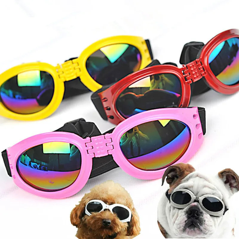Secure-Fit Sunglasses for Medium and Large Dogs