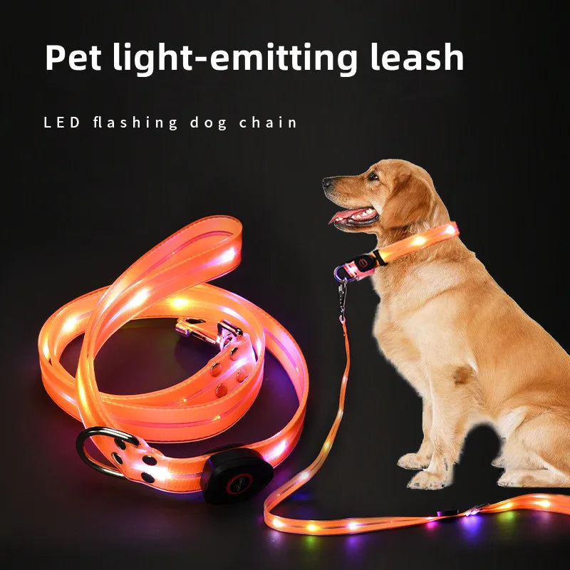 LED Glowing Dog Leash for Enhanced Night Safety