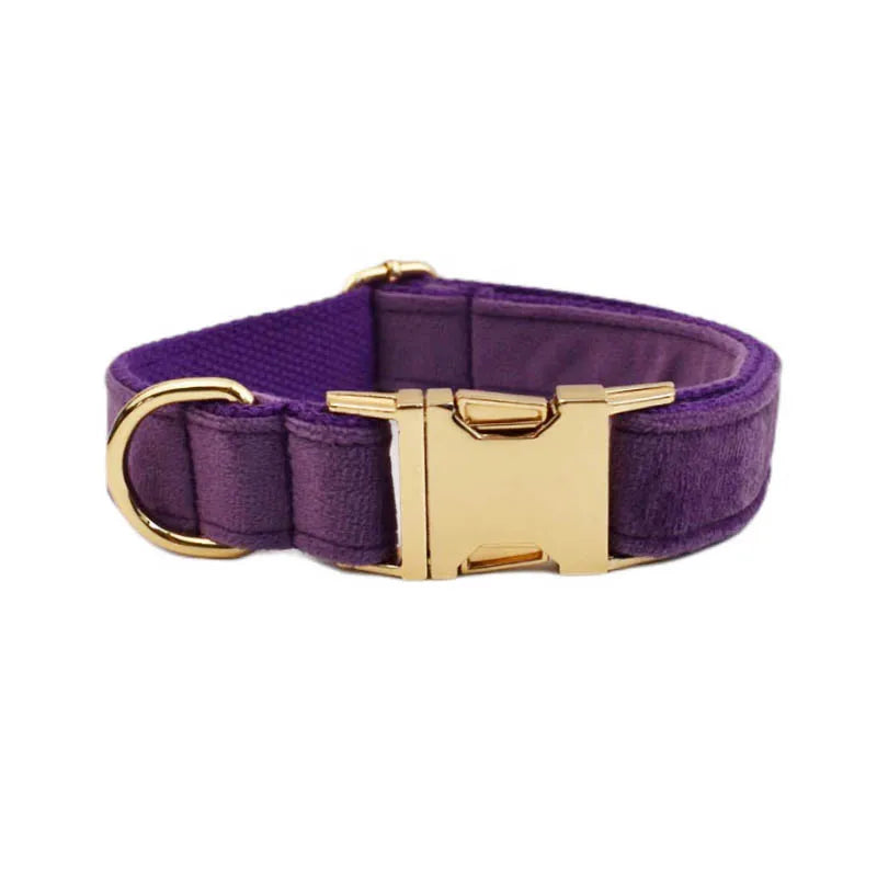 Luxury Velvet Pet Collar and Leash Set with Custom Engraving