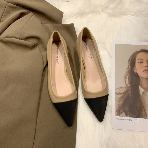 Flat Shoes for Women 2023 New Spring  Autumn Temperament Pointed Flat Heel Ladies Shoes for Women Matching Large Size 41