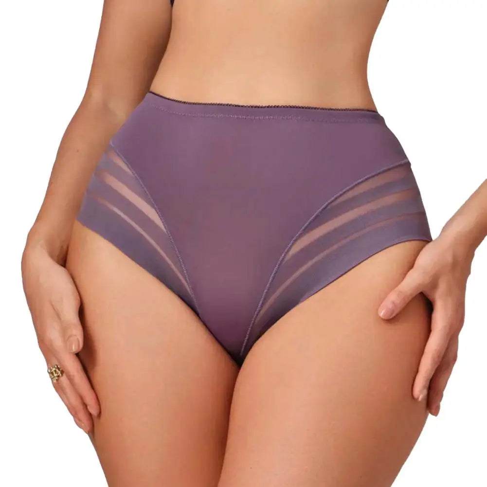 Mid-Rise Breathable Sheer Panties for Women by MALEY LifeStyle