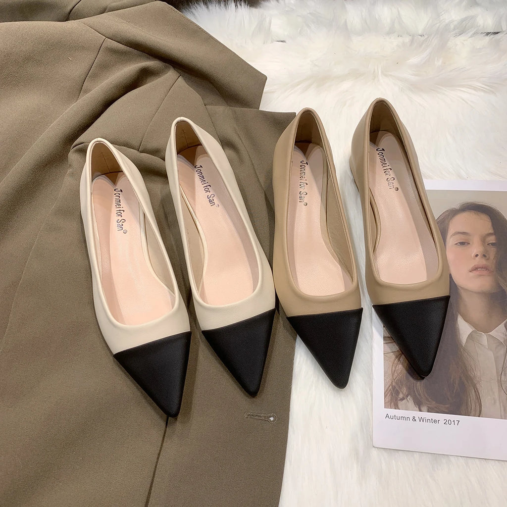 Flat Shoes for Women 2023 New Spring  Autumn Temperament Pointed Flat Heel Ladies Shoes for Women Matching Large Size 41