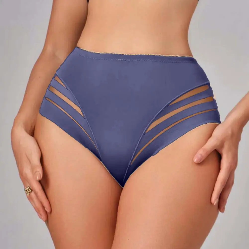 Mid-Rise Breathable Sheer Panties for Women by MALEY LifeStyle