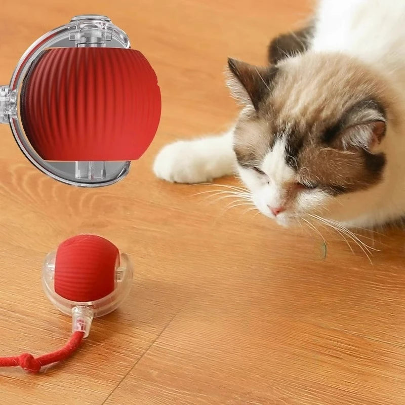 Durable Rubber Teaser Ball for Dogs and Cats Self-Entertainment
