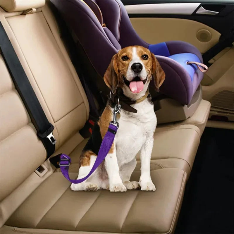 Adjustable Stainless Steel Pet Car Safety Seat Belt
