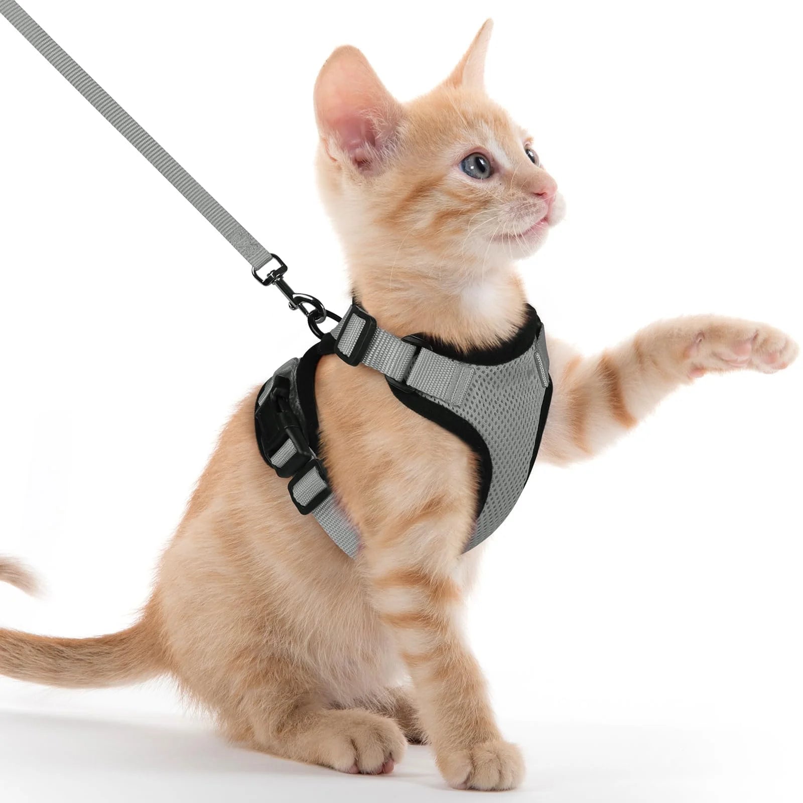 Adjustable Cat Harness and Leash Set for Small Pets
